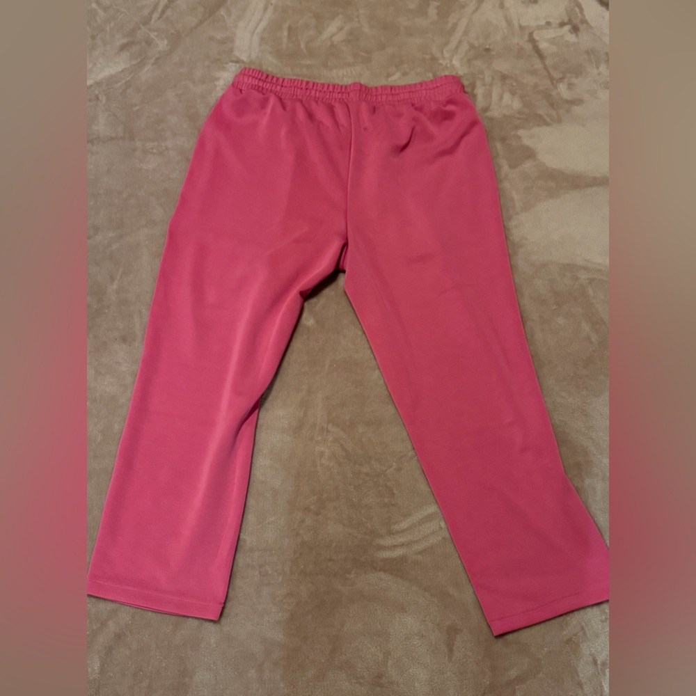 Splendid Massie Scuba Knit Sweatpants pink Size XL - Picture 5 of 13
